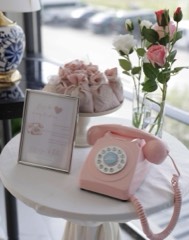 Pembe Klasik Retro Telefon görsel 2