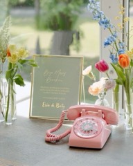 Pembe Klasik Retro Telefon görsel 5