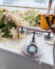 Vintage Beyaz Telefon görsel 2
