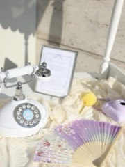Vintage Beyaz Telefon görsel 4